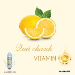 Lõi Lọc Nước Vòi Sen Vitamin C Hương Chanh WATERPIA Korea