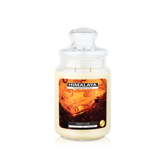 Nến Thơm Himalaya Amber Noir (2 bấc)