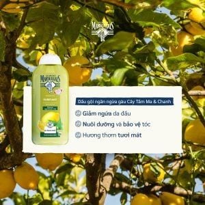 DẦU GỘI NGĂN NGỪA GÀU LE PETIT MARSEILLAIS CHIẾT XUẤT CÂY TÂM MA & CHANH 300ml