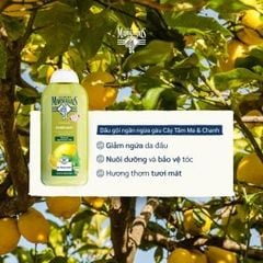 DẦU GỘI NGĂN NGỪA GÀU LE PETIT MARSEILLAIS CHIẾT XUẤT CÂY TÂM MA & CHANH 300ml