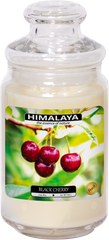 Nến Thơm Himalaya Black Cherry (2 bấc)