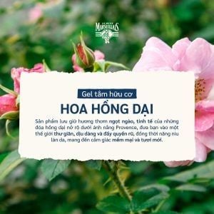 Sữa Tắm Le Petit Marseillais Hương Hoa Hồng Dại 250ml