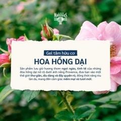 Sữa Tắm Le Petit Marseillais Hương Hoa Hồng Dại 250ml