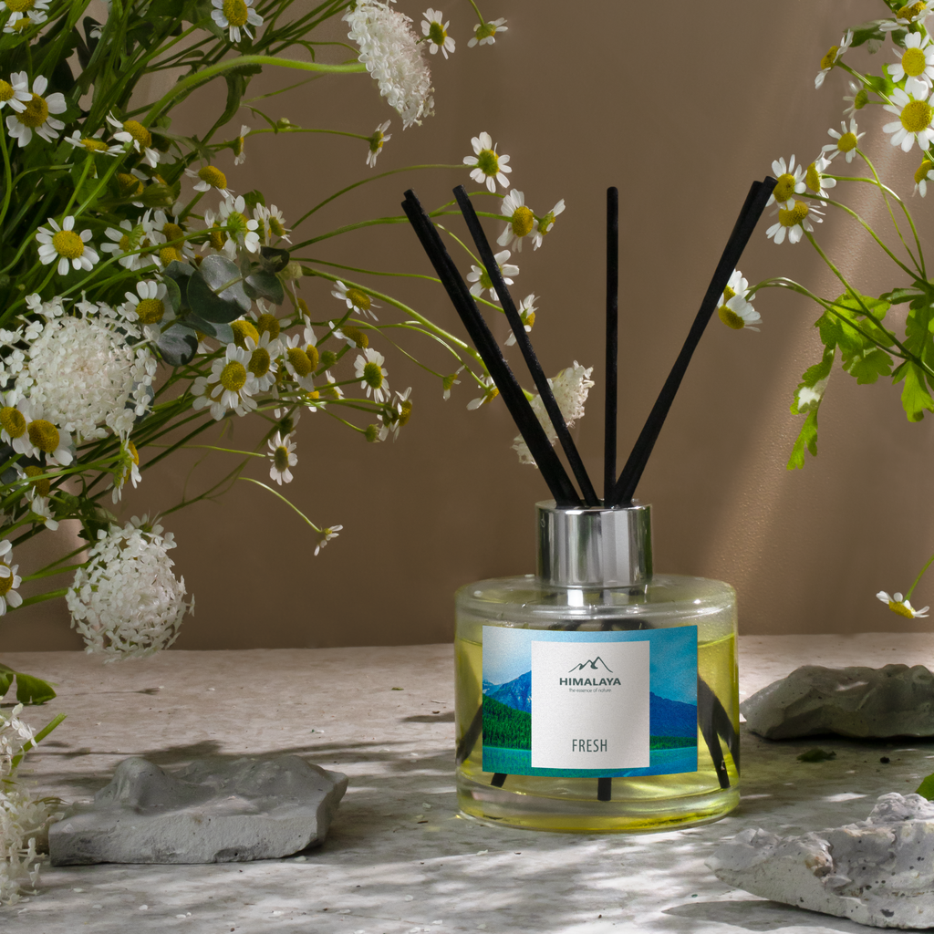 Bộ tinh dầu tán hương thiên nhiên hương Fresh 125ML