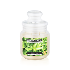 Nến Thơm Himalaya Green Tea (2 bấc)