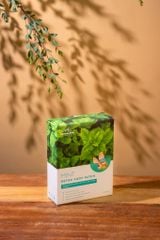 Miếng Dán Thải Độc Himalaya (Hộp)