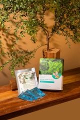 Miếng Dán Thải Độc Himalaya (Hộp)