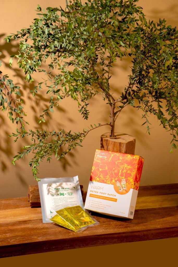 Miếng Dán Thải Độc Himalaya (Hộp)