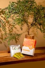 Miếng Dán Thải Độc Himalaya (Hộp)