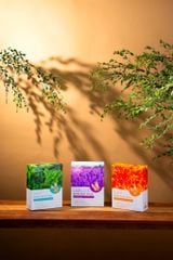 Miếng Dán Thải Độc Himalaya (Hộp)