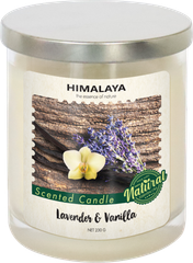 Nến thơm Lavender & Vanilla 230g