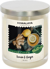 Nến thơm Lemon & Ginger 230g