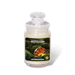 Nến Thơm Himalaya Oakmoss & Amber (2 bấc)