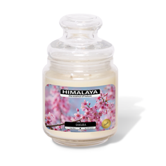 Nến Thơm Himalaya Sakura (2 bấc)