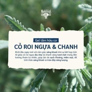 Gel Tắm Le Petit Marseillais Cỏ Roi Ngựa & Chanh 250ml