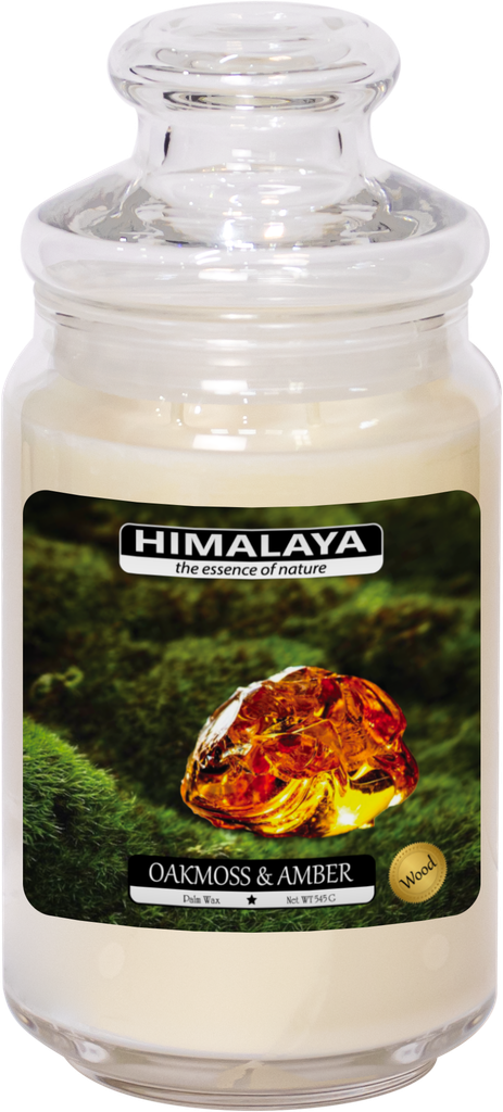 Nến Thơm Himalaya Oakmoss & Amber (2 bấc)