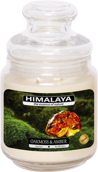 Nến Thơm Himalaya Oakmoss & Amber (2 bấc)