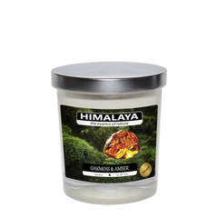 Nến Thơm Himalaya Oakmoss & Amber (140g)