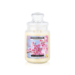 Nến Thơm Himalaya Sakura (2 bấc)