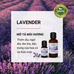 Tinh dầu Himalaya Lavender