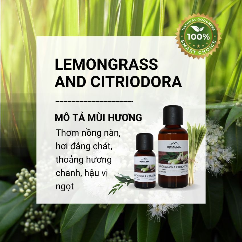 Tinh dầu Himalaya Lemongrass & Citriodora