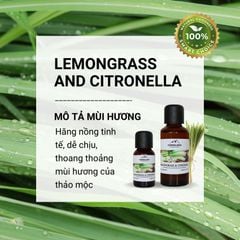 Tinh dầu Himalaya Lemongrass & Citronella