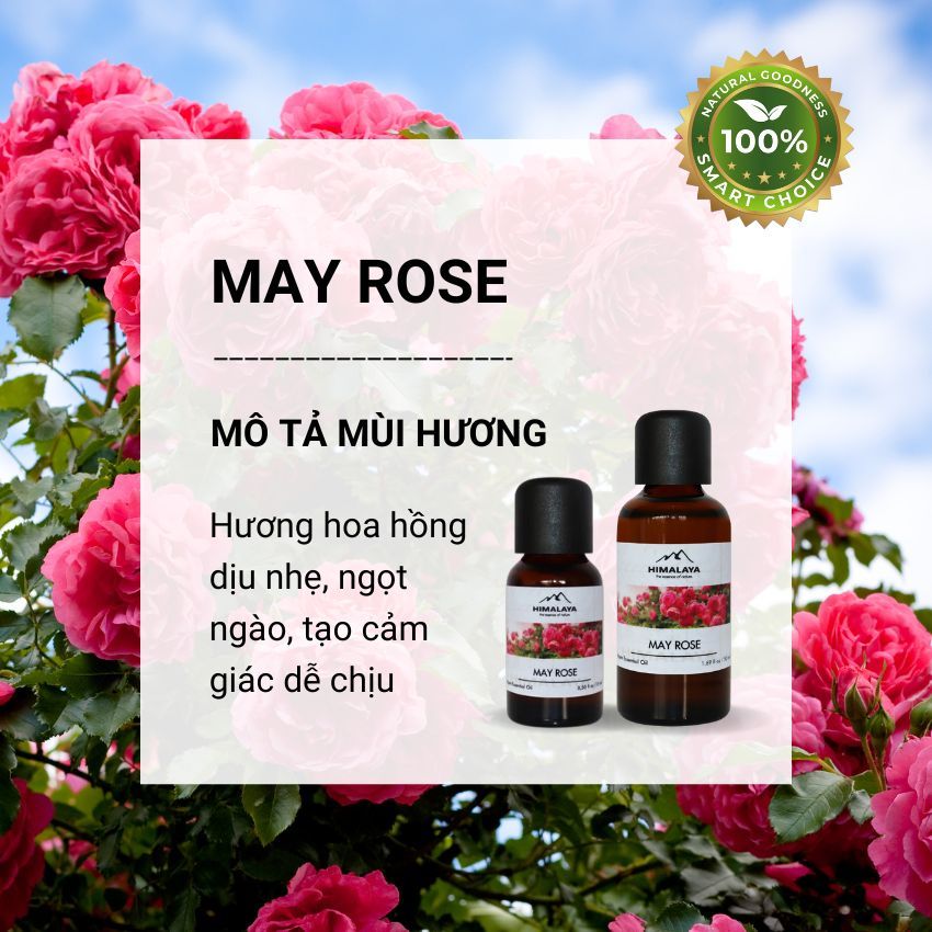 Tinh dầu Himalaya May Rose