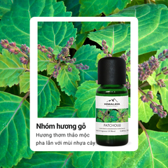 Tinh dầu Himalaya Patchouli