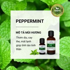 Tinh dầu Himalaya Peppermint