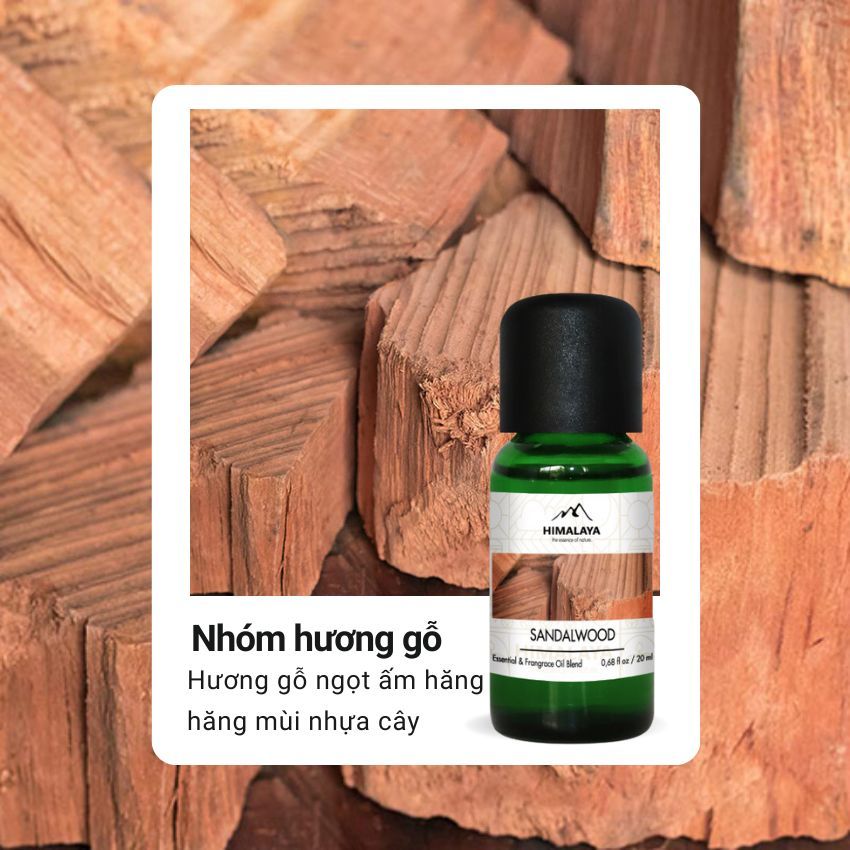 Tinh dầu Himalaya Sandalwood