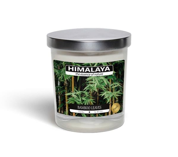 Nến Thơm Himalaya Bamboo Leaves (140g)