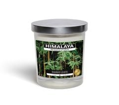 Nến Thơm Himalaya Bamboo Leaves (140g)