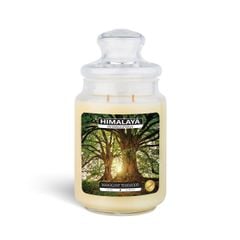 Nến Thơm Himalaya Mahogany Teakwood (2 bấc)