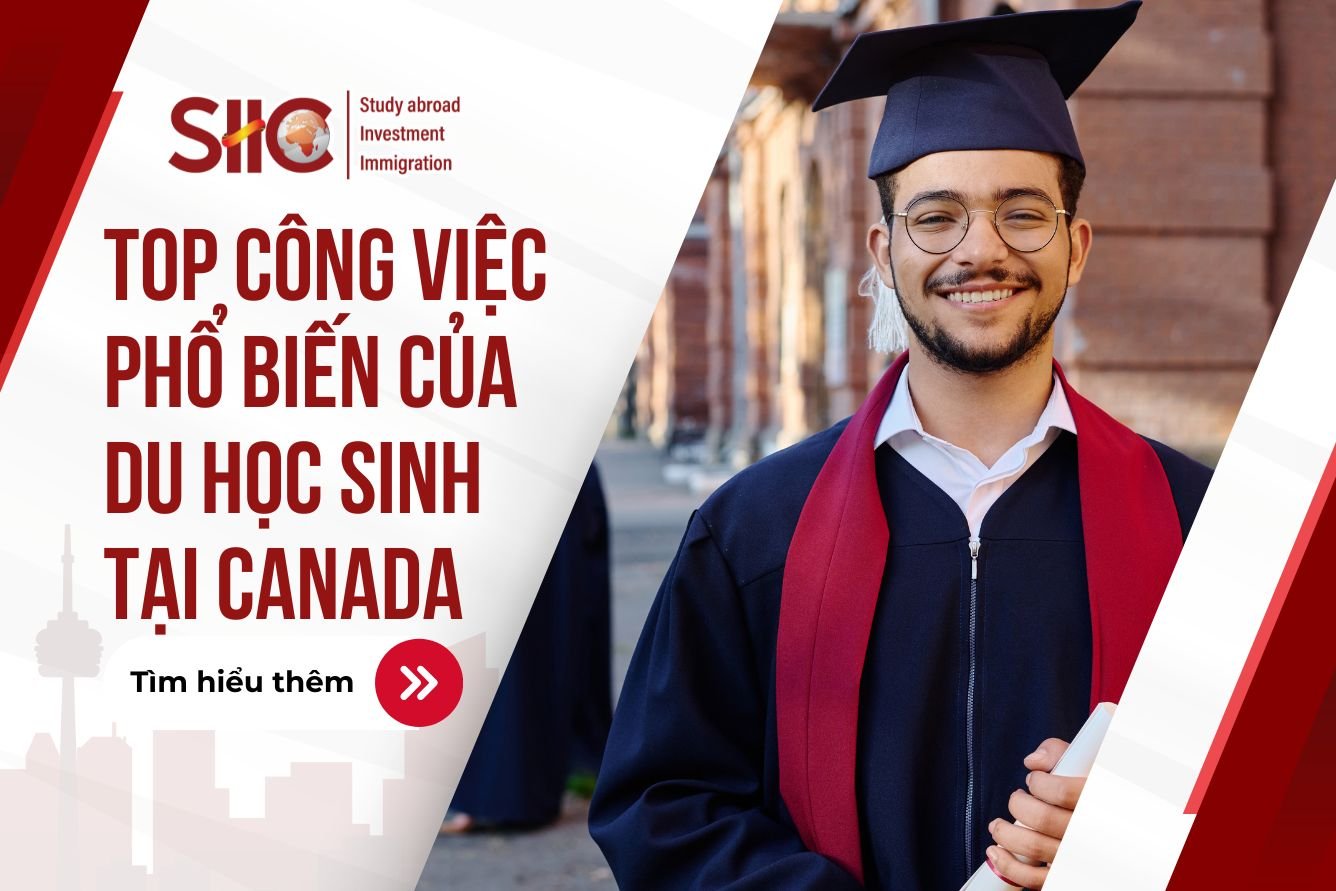 Top công việc phổ biến nhất của du học sinh tại Canada sau tốt nghiệp