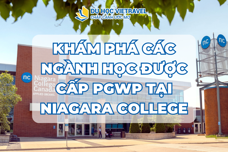 KHÁM PHÁ CÁC NGÀNH HỌC ĐƯỢC CẤP PGWP TẠI NIARAGA COLLEGE