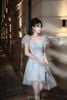 Đầm Ngắn Tay Phồng Voan Mỏng Bailey LOVELYN