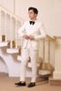 Bộ Vest Tuxedo Trắng VEST NAM