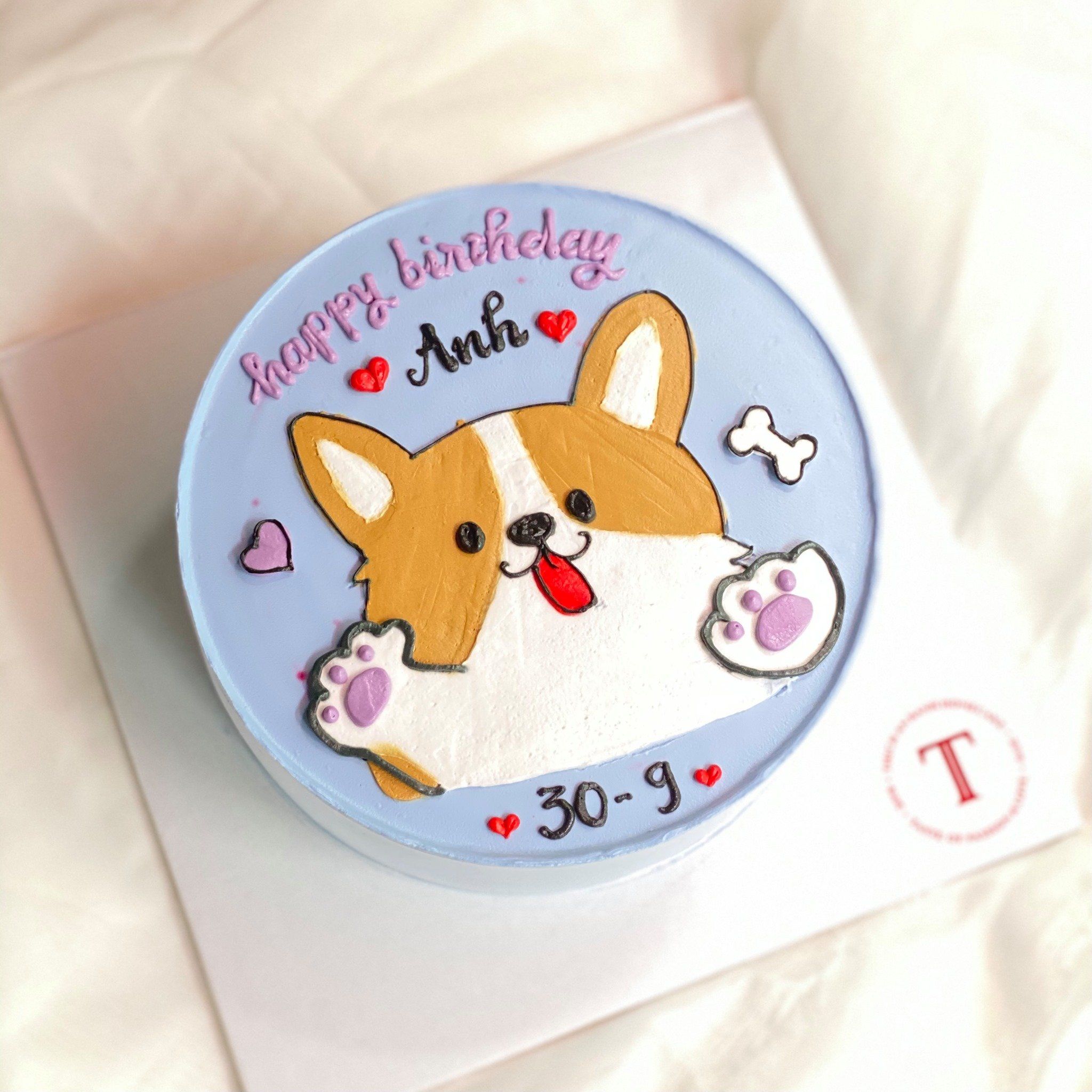 Chó Corgi Giống Chó Chân Ngắn Siêu Đáng Yêu  Petto