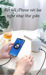 Cáp chuyển đổi Lightning sang 3.5mm chuẩn MFI UGREEN US315