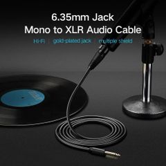 Cáp chuyển đổi 6.5mm sang AV Cannon (XLR) âm UGREEN AV131 – Dùng cho microphone stereo mixer amplifier camera Environment