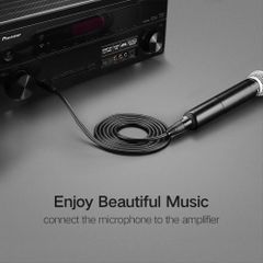 Cáp chuyển đổi 6.5mm sang AV Cannon (XLR) âm UGREEN AV131 – Dùng cho microphone stereo mixer amplifier camera Environment