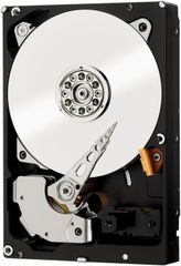 Ổ cứng WD Enterprise 10T - Sata 3 (6Gb/s), 7200 rpm, Cache 256MB (Gold)(WD101KRYZ)