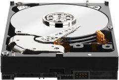Ổ cứng WD Enterprise 10T - Sata 3 (6Gb/s), 7200 rpm, Cache 256MB (Gold)(WD101KRYZ)