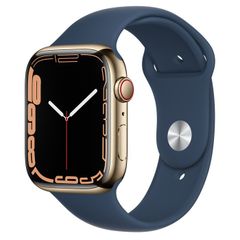 Apple Watch Series 7 (LTE) 45mm Viền Thép, Dây Cao Su (J/A)