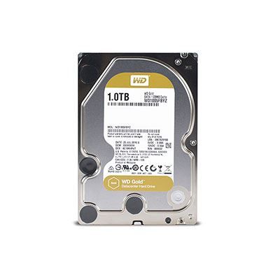 Ổ cứng Western Gold 1TB WD1005FBYZ (cho Server - Datacenter)