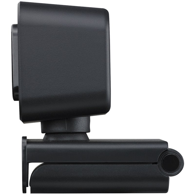 Webcam Rapoo C270L