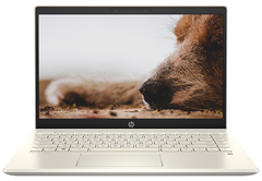 Laptop HP Pavilion 14-dv0534TU 4P5G3PA (i7 1165G7/8GB/512GB/Intel Iris Xe/14 Inch FHD/Win 11/Warm Gold/Phiên bản mới Win 11)