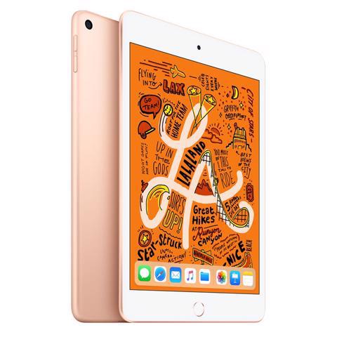iPad Mini 5 Wifi 256GB (LL)