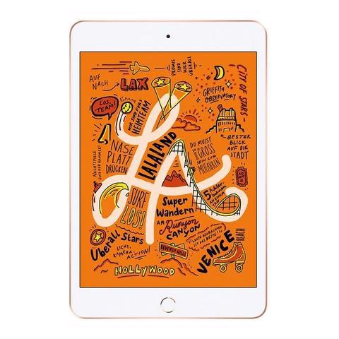 iPad Mini 5 Wifi 256GB (LL)