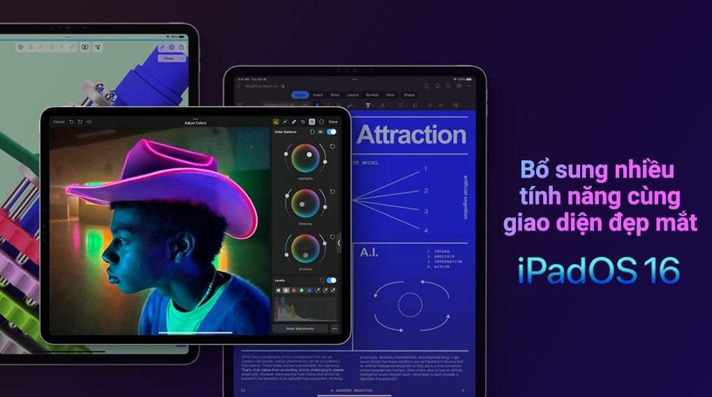 iPad Pro (11